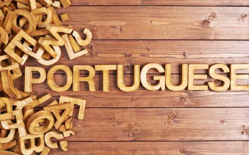 The Portuguese Language