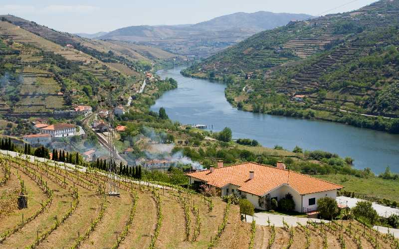 Douro Valley Wine tour from Porto