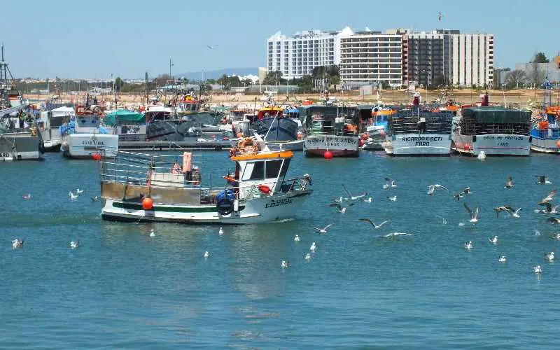 Algarve Fishing Villages